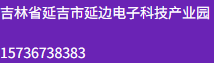 延边代怀事业部